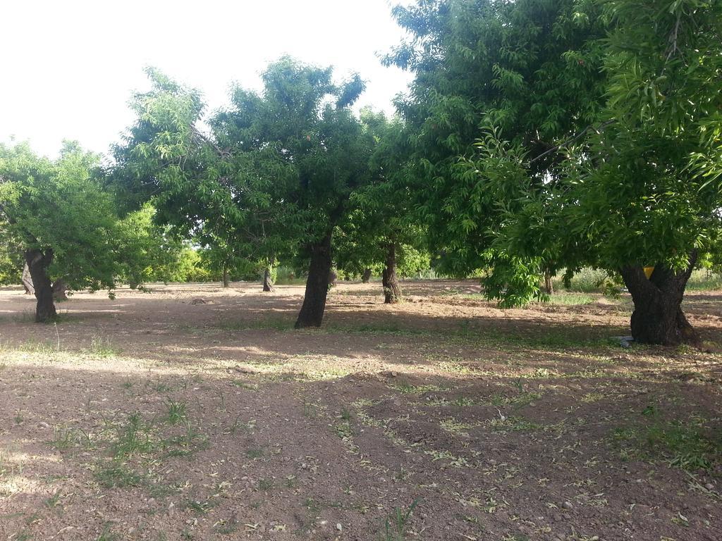 A Lumia Villa Noto Bagian luar foto