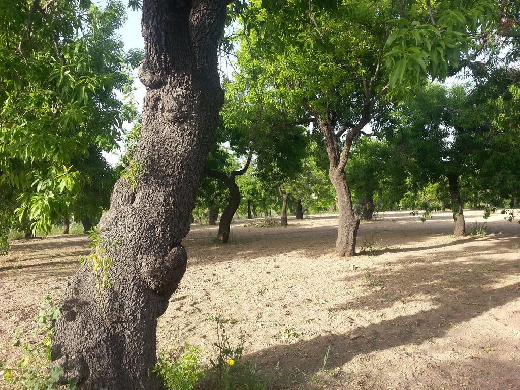 A Lumia Villa Noto Bagian luar foto