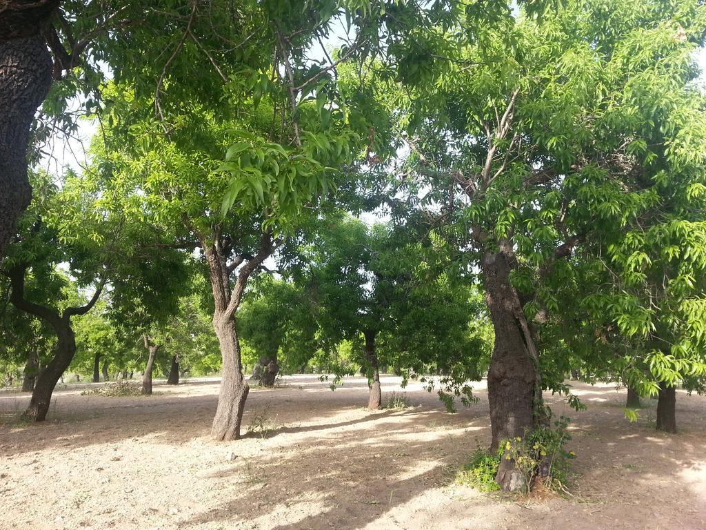 A Lumia Villa Noto Bagian luar foto