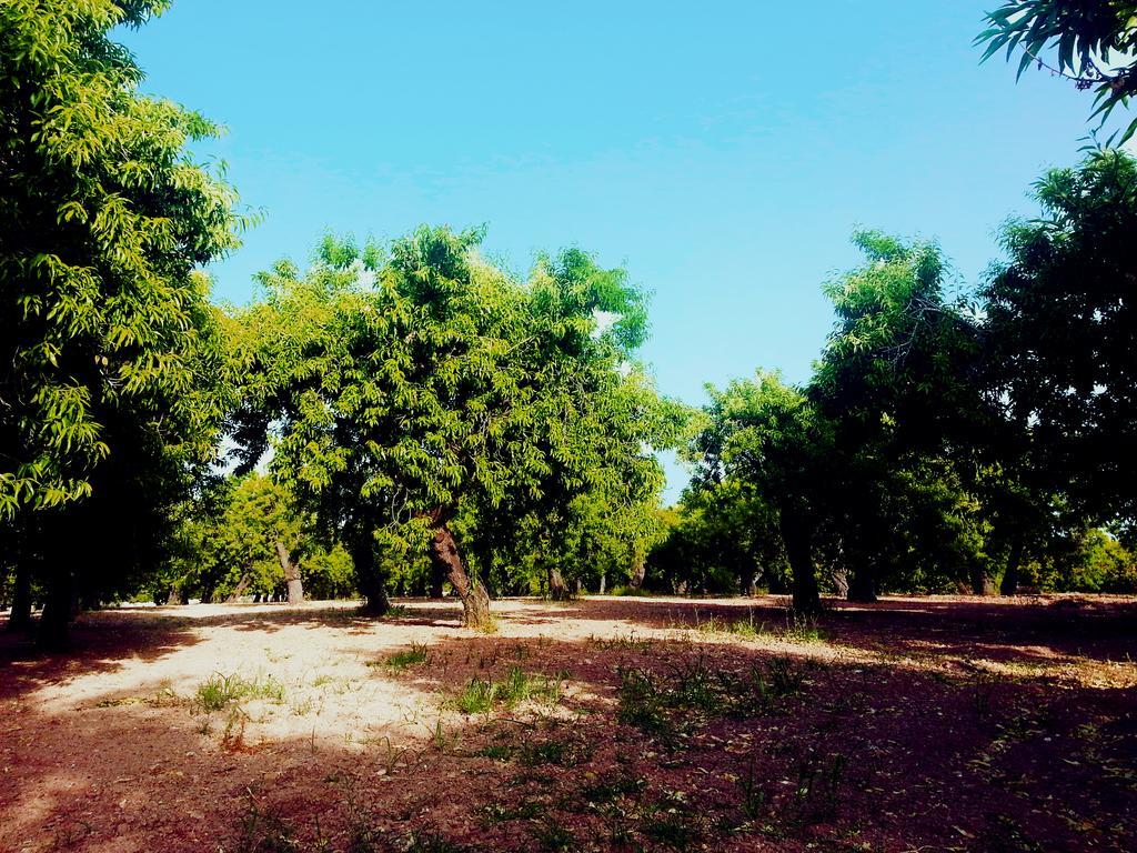 A Lumia Villa Noto Bagian luar foto