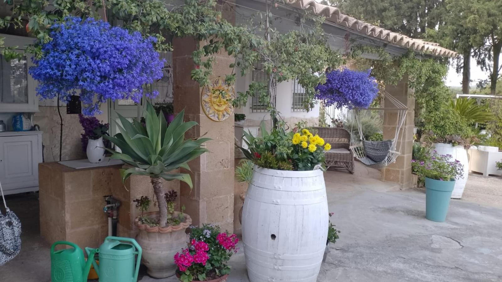 A Lumia Villa Noto Bagian luar foto