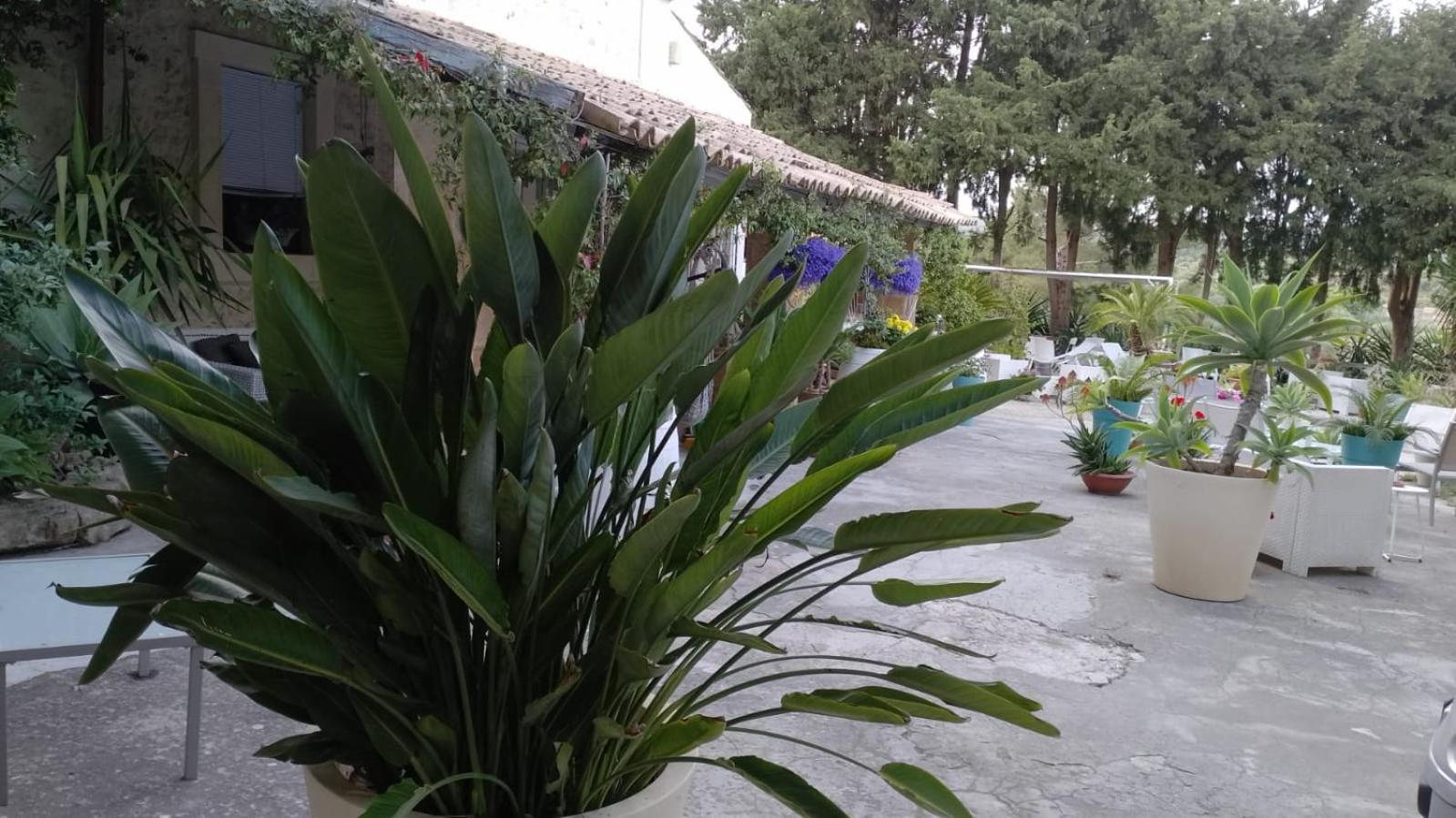 A Lumia Villa Noto Bagian luar foto