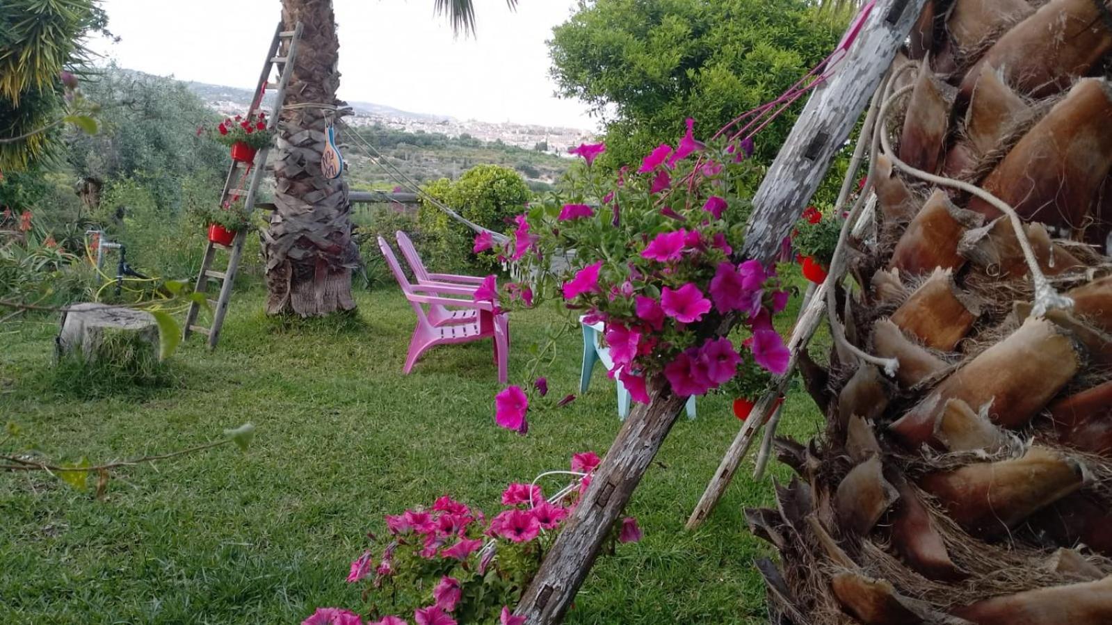 A Lumia Villa Noto Bagian luar foto